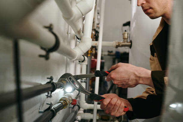 Best Septic Systems  in Menomonie, WI