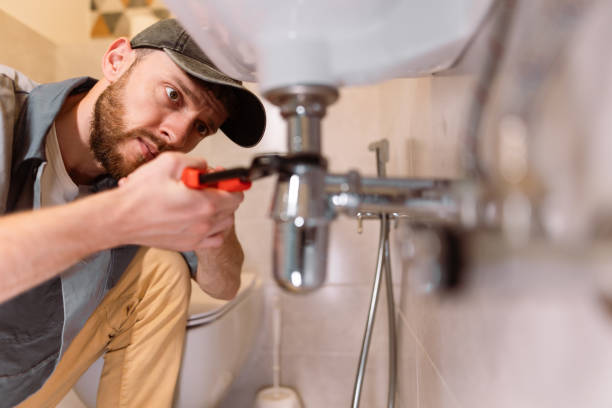 Best Septic Systems  in Menomonie, WI